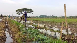 http://gardatipikornews.com/shalat-idul-adha-1445-h-bupati-marwan-tekankan-pentingnya-kepedulian-terhadap-sesama