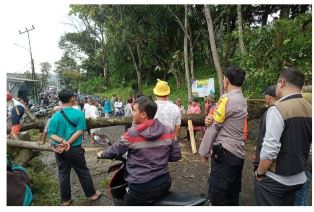 http://gardatipikornews.com/polsek-citeureup-tindak-cepat-respon-laporan-terkait-dugaan-tawuran-melalui-rekaman-cctv-di-jl-kranggan-puspasari