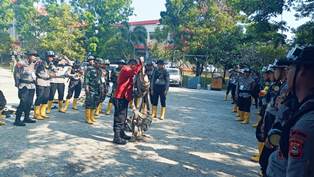 http://gardatipikornews.com/ketua-dpc-gmni-kota-kendari-imbau-kaum-milineal-mari-bermedia-dengan-cerdas