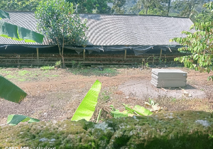 http://gardatipikornews.com/dapur-sppg-di-sukabumi-belum-semua-mengantongi-sertifikat-laik-higienis-sanitasi-slhs