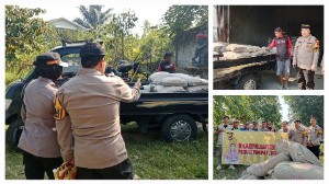 http://gardatipikornews.com/kapolresta-mamataram-kenaikan-pangkat-dan-pelepasan-purna-tugas-penghargaan-atas-dedikasi-dan-pengabdian