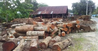 https://gardatipikornews.com/personil-koramil-0621-22-parung-polsek-dan-ppk-monitor-pengembalian-logistik-kotak-suara-pemilu-2024-ppk-kecamatan-ciseeng-ke-gudang-kpud-kabupaten-bogor
