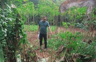 https://gardatipikornews.com/pimpin-rakernas-ikaptk-akmal-malik-tekankan-penguatan-kolaborasi-alumni-menuju-indonesia-emas-2045