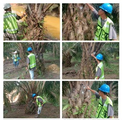 https://gardatipikornews.com/ketua-dpd-perkumpulan-pemimpin-redaksi-independen-ppri-bekasi-raya-soroti-urugan-tanah-project-pembangunan-tol-japek-2-di-duga-tidak-sesuai-spesifikasi-pt-adhi-aoset-tutup-mata