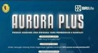 https://gardatipikornews.com/suhu-politik-menjelang-pilkada-di-cianjur-semakin-emanas-khususnya-di-internal-partai-demokrat-yang-terpecah-belah
