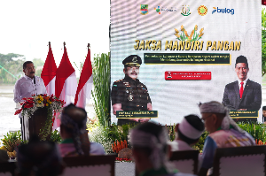https://gardatipikornews.com/polri-akan-gelar-panen-raya-jagung-serentak-di-kabupaten-bengkayang-kalbar