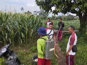https://gardatipikornews.com/diduga-mencuri-hp-di-conter-box-dua-pria-diamankan-unit-reskrim-polsek-selaparang