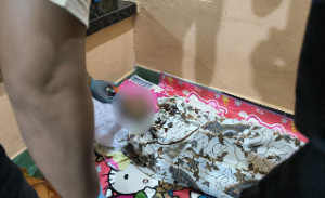 https://gardatipikornews.com/quick-respon-polda-ntb-tangani-cepat-kasus-wna-meninggal-dunia-di-gili-air