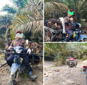 https://gardatipikornews.com/ketua-lsm-maung-provinsi-riau-apresiasi-lanal-dumai-dalam-pencegahan-peredaran-narkoba