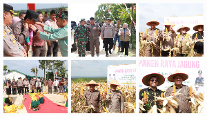 https://gardatipikornews.com/pomparan-raja-sonakmalela-apresiasi-atas-kinerja-polres-tapanuli-utara-telah-melakukan-penahanan-terhadap-tersangka-dalam-perkara-pelecehan-terhadap-anak-45-tahun