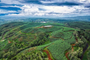 https://gardatipikornews.com/lembaga-aliansi-indonesia-meminta-tegas-kepada-bph-migas-agar-spbu-3417128-di-jalan-raya-jatiwaringin-kecamatan-pondok-gede-bekasi-jawa-barat-segera-di-adakan-tindak-tegas