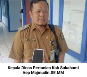 https://gardatipikornews.com/pers-adalah-pilar-ke4-negaraketum-pwdpi-sudah-saatnya-negara-perhatikan-nasib-jurnalis