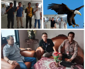 https://gardatipikornews.com/diduga-kayu-tpu-dijual-warga-soroti-sikap-aparat-penebangan-pohon-tpu-bedali-lawang-berujung-jalan-umum-jadi-lokasi-produksi-palet