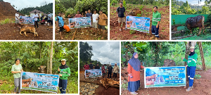 https://gardatipikornews.com/sambut-hut-bhayangkara-ke80-ditpolairud-polda-jambi-dan-polres-tanjab-barat-hijaukan-pesisir-dengan-tanam-mangrove