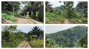 https://gardatipikornews.com/imb-terbitan-pemkot-denpasar-jangan-jadi-stempel-pembenar-pelanggar-sempadan-sungai-gallery-kohinoor