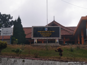 https://gardatipikornews.com/polsek-selaparang-patroli-rinjani-presisi-dini-hari-perkuat-pengamanan-di-titik-rawan-kamtibmas