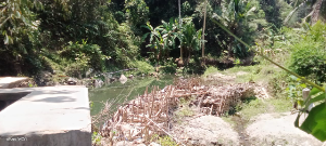 https://gardatipikornews.com/penyaluran-bantuan-pangan-di-lembursawah-capai-2732-karung-1244-penerima-manfaat-terima-bantuan