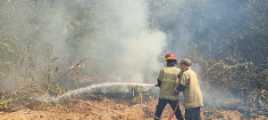 https://gardatipikornews.com/ringankan-beban-warga-pemdes-buniwangi-salurkan-bantuan-pangan-untuk-860-kpm